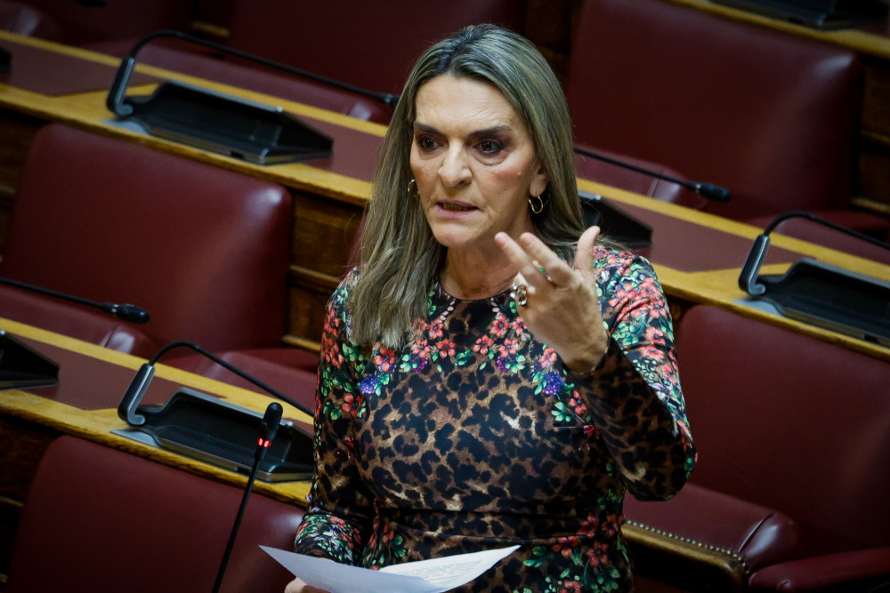 Νέα Αριστερά: Η «γείωση» της Πέρκα που μένει στα λόγια και η πολιτική των συνθημάτων