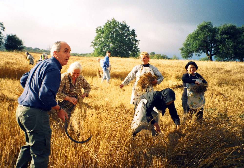Νέα δράση για τις ΜμΕ: επιδοτήσεις έως 55% για επενδύσεις στην παραγωγή