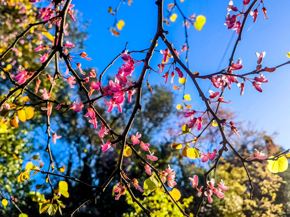 Καιρός: ανεβαίνει η θερμοκρασία - Πού θα βρέξει