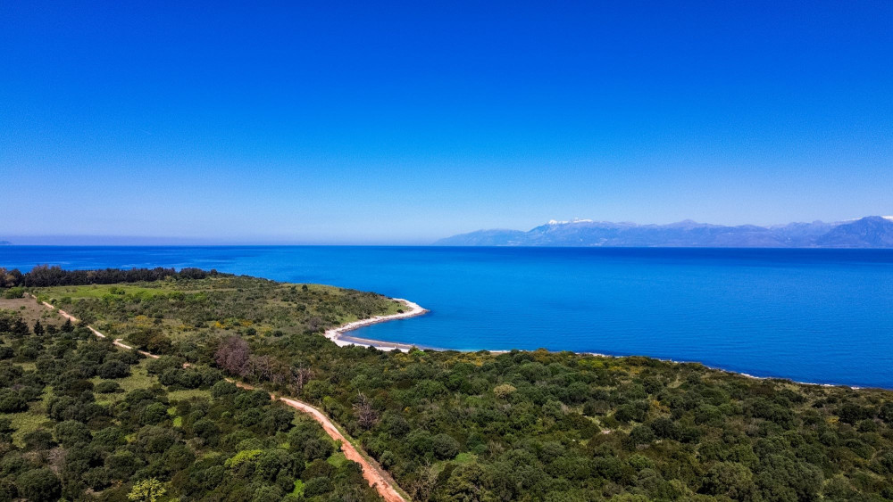 Παγκόσμια Ημέρα Περιβάλλοντος: οι κυβερνητικές παρεμβάσεις για την προστασία της φύσης