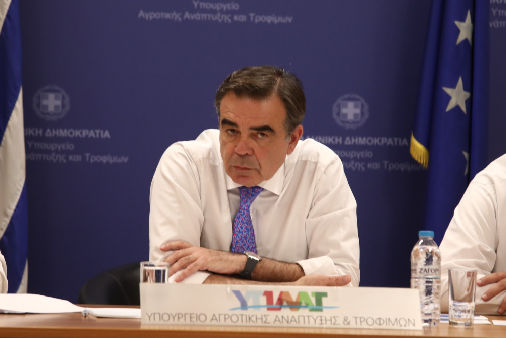 Μαργαρίτης Σχοινάς: Η θέση της Κύπρου είναι στην «καρδιά» της Ευρώπης