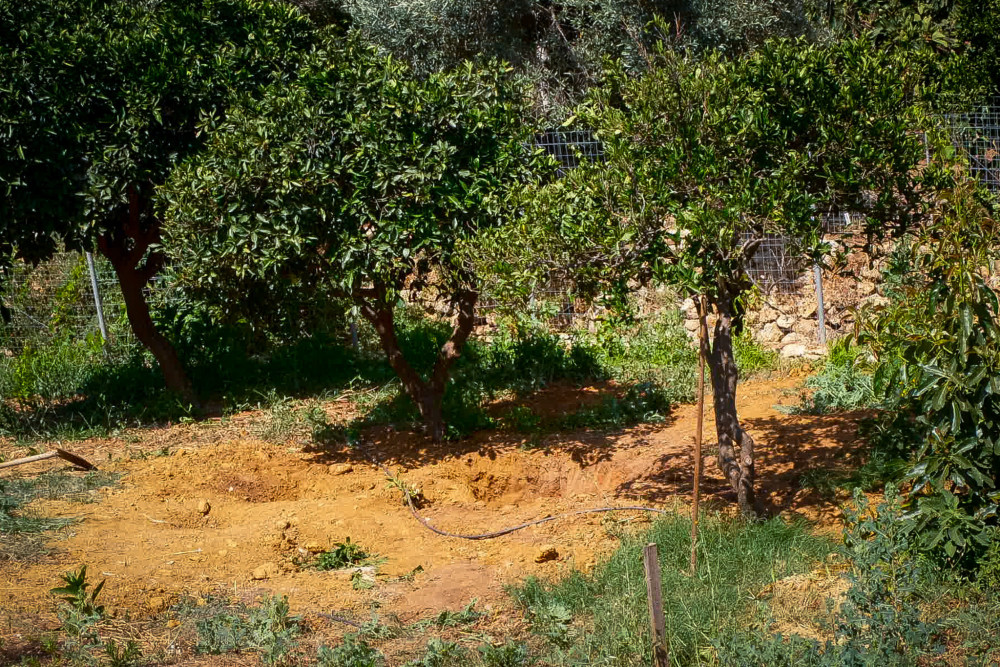 Κρήτη: Σοκάρουν τα νέα στοιχεία για τη δολοφονία της 45χρονης Σταυρούλας (video)