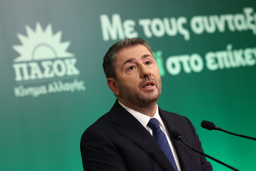 ΠΑΣΟΚ: Οι δελφίνοι, οι αντιφάσεις Ανδρουλάκη και ένα κόμμα χωρίς πυξίδα