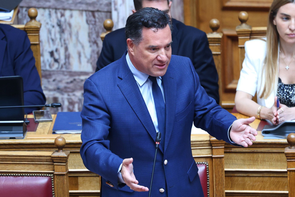 Άδωνις Γεωργιάδης: Με Δούρου δεν μπαίνει στη Βουλή ο ΣΥΡΙΖΑ (video)