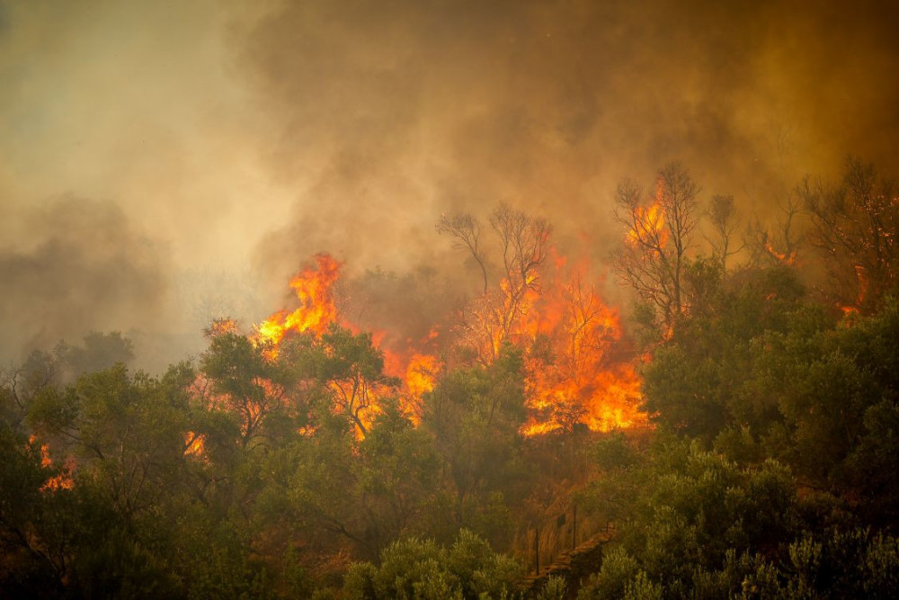 Meteo: τα τελευταία 10 χρόνια κάηκε το 42% των δασών της Αττικής