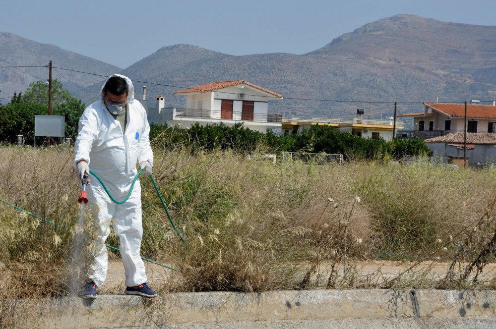 Ιός του Δυτικού Νείλου: πρώτο επιβεβαιωμένο περιστατικό στην Κρήτη, νέα κρούσματα στην Αττική