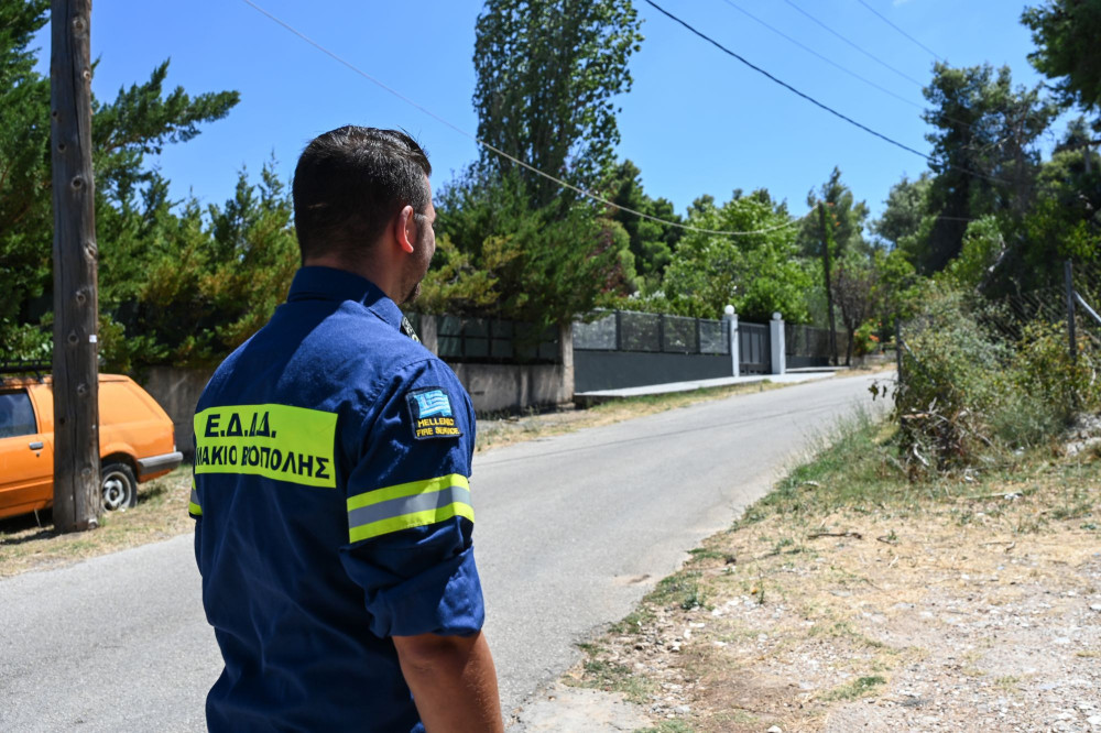 Γεωργία Παράσχου: Η οργάνωση εθελοντών είναι το κλειδί για τις φωτιές