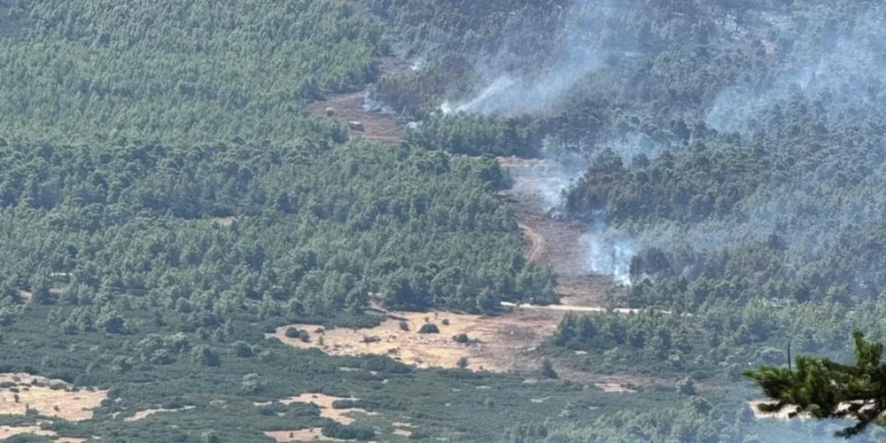 Φωτιά στη Δυτική Αττική: Το antinero έσωσε ζωτικά κομμάτια του δάσους (εικόνες)