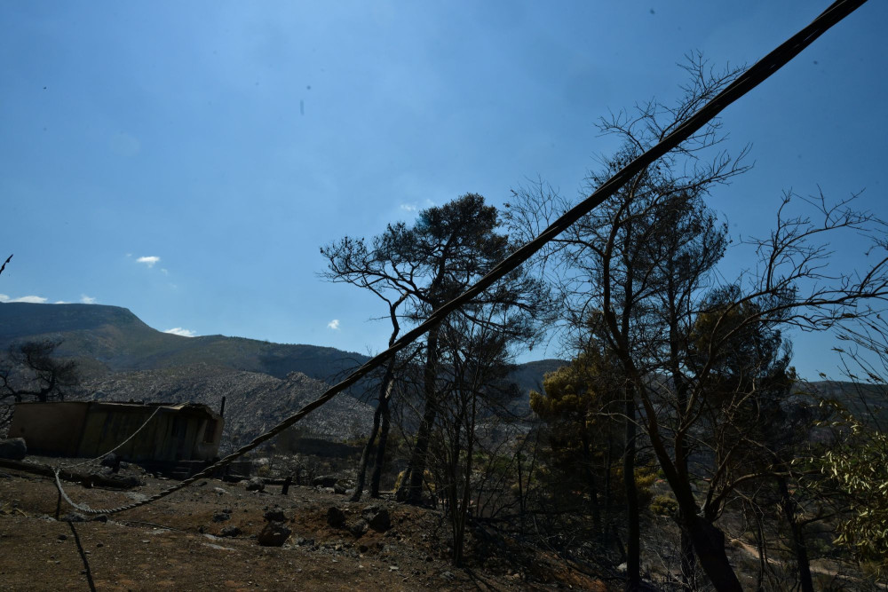 Βοιωτία: Το πόρισμα δείχνει βραχυκύκλωμα για τη φωτιά
