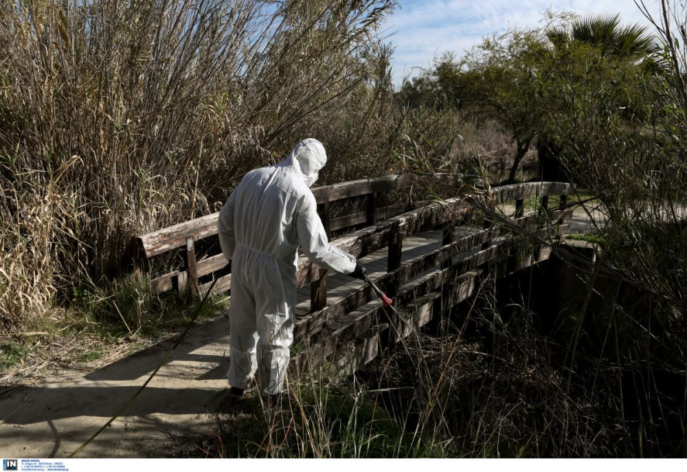 «Καμπανάκι» για την έξαρση του ιού του Δυτικού Νείλου στην Αττική