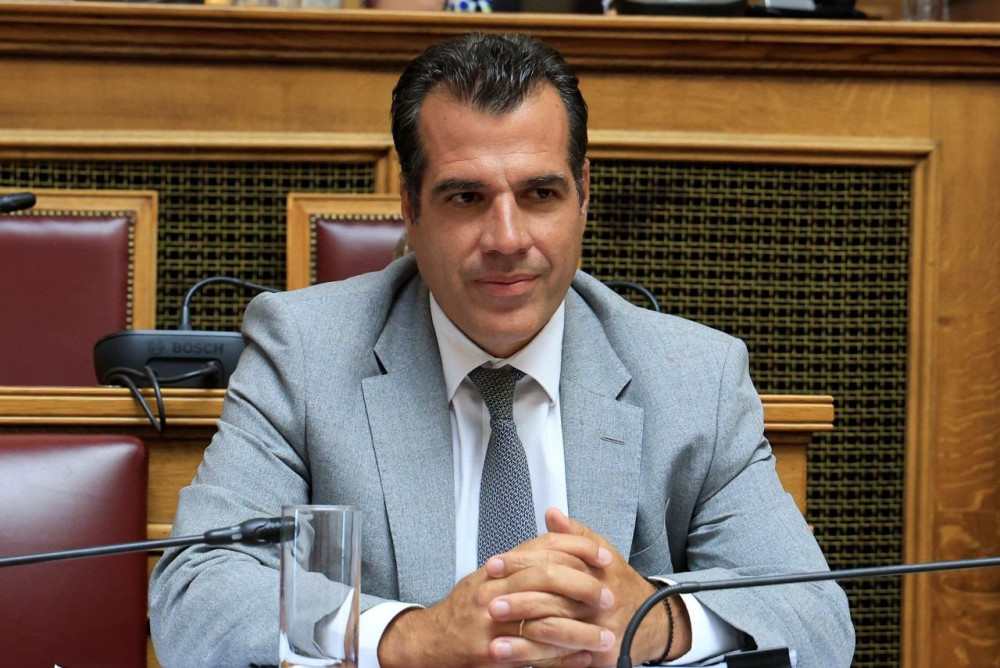 Θάνος Πλεύρης: Απελαύνονται 93 μετανάστες από τη δομή της Σιντικής στις Σέρρες