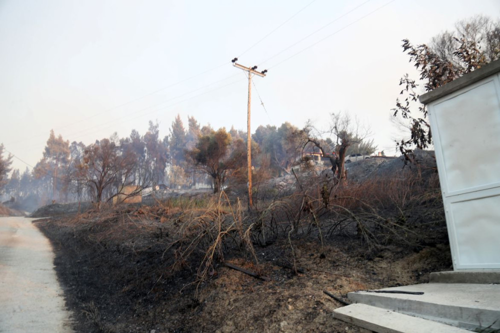 Απ' αυτό το σημείο ξεκίνησε η φωτιά στη Σίβηρη Χαλκιδικής - Εικόνα-ντοκουμέντο