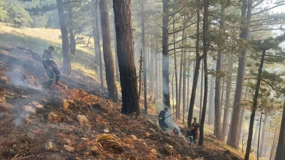 Βελτιωμένη η εικόνα της πυρκαγιάς στην Κόνιτσα, σε ύφεση τα άλλα μέτωπα (video)