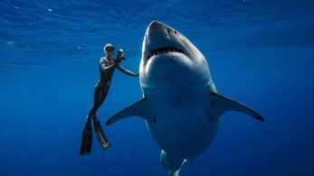 Deep Blue