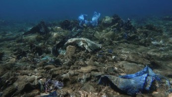 ARD: Τα πλαστικά σκουπίδια στο βυθό της Άνδρου