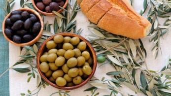 Ενημέρωση για την επιτραπέζια ελιά