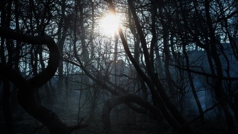 Τι κάηκε στην Εύβοια- Αποκλειστικός χάρτης με τις χρήσεις γης