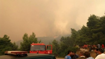 Υψηλού συμβολισμού πρωτοβουλία της efood