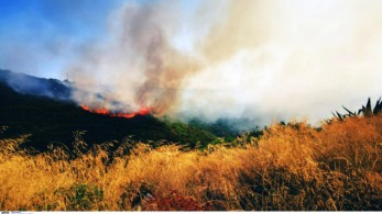 Νέα φωτιά στην Ιστιαία της Εύβοιας
