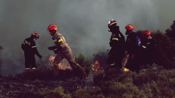 Μεγάλη πυρκαγιά σε εξέλιξη στον Μαραθώνα (video)