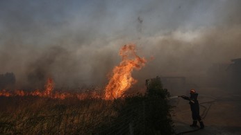 Μεγάλη πυρκαγιά στην Αλεξανδρούπολη – Ολονύχτια μάχη με τις φλόγες