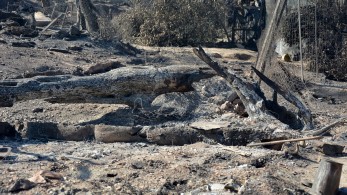 Πώς έβαλαν οι Αφγανοί τις φωτιές στη Μόρια (βίντεο-ντοκουμέντο)