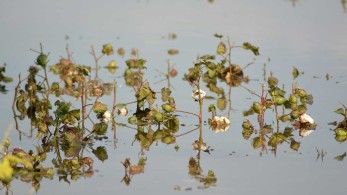 Ιανός: Καταστροφή στα Φάρσαλα-SOS εκπέμπουν οι αγρότες