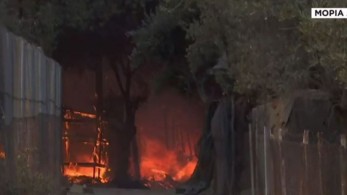 Μόρια: ΕΛ.ΑΣ, ΕΥΠ και Αντιτρομοκρατική ψάχνουν τους καθοδηγητές – Νέες φωτιές