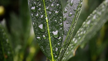 Καιρός: Ξανά βροχές και καταιγίδες σήμερα