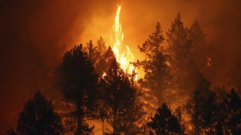 ΗΠΑ: Στο έλεος πυρκαγιάς οι διάσημοι αμπελώνες της κοιλάδας της Νάπα