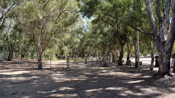 Πάτρα: Ένα οικολογικό πάρκο με υποδομές για άθληση στον αστικό ιστό