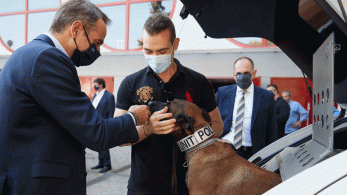 Η ευαισθησία Μητσοτάκη για τους τετράποδους φίλους μας