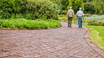 Δείγμα πολιτισμού και ωριμότητας ο σεβασμός στους ηλικιωμένους