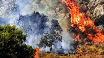 Μεγάλη πυρκαγιά στην περιοχή Βολίμες Ζακύνθου