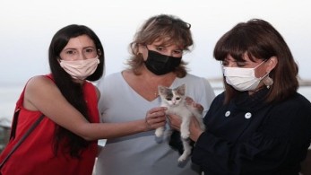 ΠτΔ: Τα ζώα είναι συναισθανόμενα όντα, που αξίζουν προστασία και σεβασμό