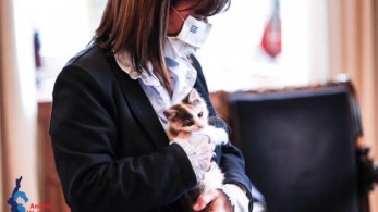 Η Κατερίνα Σακελλαροπούλου υιοθέτησε ένα γατάκι από την Κάρπαθο