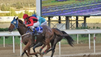 Τζακ ποτ 100.000 ευρώ στο ΣΚΟΡ 6 στο Markopoulo Park