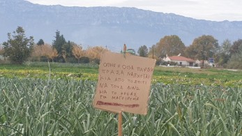 Θεούλης Τρικαλινός αγρότης- Τι έγραψε σ΄ αυτούς που του κλέβουν τα… πράσα