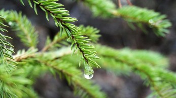 Συννεφιασμένος ο καιρός σήμερα-Πού αναμένονται βροχές και χιόνια