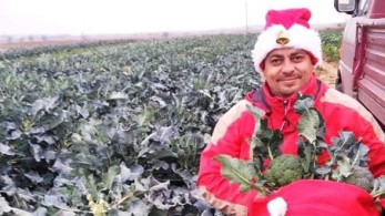 Αγρότης καλλιεργεί τα λαχανικά του υπό τους ήχους χριστουγεννιάτικης μουσικής