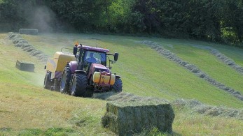 Ρύθμιση χρεών για επαγγελματίες, αυτοαπασχολούμενους και αγρότες