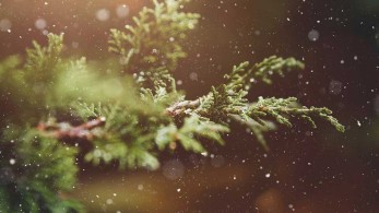 Βροχές και χιόνια για το υπόλοιπο της ημέρας