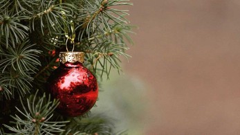 Ξεκίνησε η πώληση ελάτων στην Αθήνα