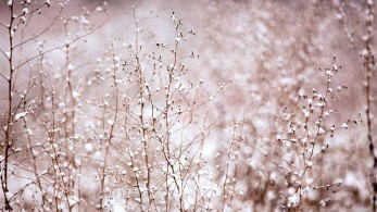 Νέα επιδείνωση του καιρού-Ισχυρά φαινόμενα από το μεσημέρι