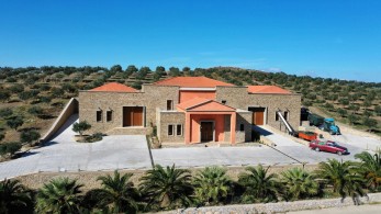 Μυτιλήνη: 40.000 ελιές μεταμόρφωσαν ερημοποιημένη γη