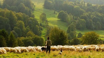 Ξεκινούν οι ενστάσεις για την εξισωτική αποζημίωση