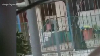 Νηπιαγωγείο στη Χαλκίδα: Σάλος με το «τιμωρημένο» 4χρονο που τουρτούριζε στο κρύο