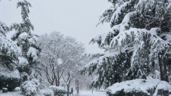 Μήδεια: Κλειστή η Αθηνών-Λαμίας, μέχρι Μαρούσι η Κηφισίας