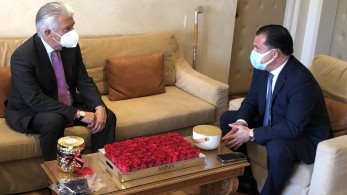 Συνάντηση Γεωργιάδη – Ερνστ για επενδύσεις