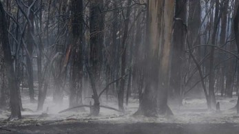 Αργεντινή: Kάηκαν 65.000 στρέμματα δασικών εκτάσεων